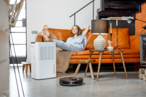Indoor Air Quality And Health