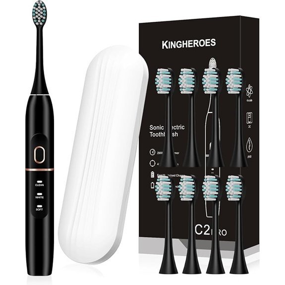 Electric Toothbrush Set with 8 Heads Travel Case